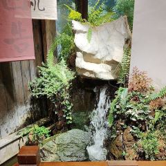 大宁乡·宁乡口味菜 User Photo