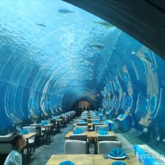 Aqua - Aquarium Restaurant User Photo