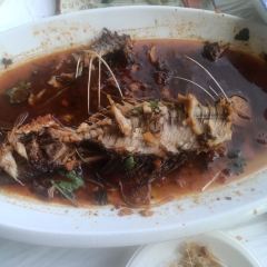 生态园土菜鱼庄 User Photo