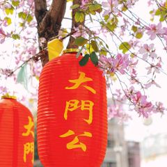 Da Men Gong User Photo