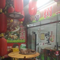 树上土鸡 User Photo
