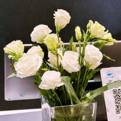 平潭岛YOOOO·枕海入眠海景度假酒店·风车海餐厅 User Photo