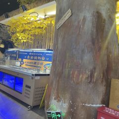 JUN CAI User Photo
