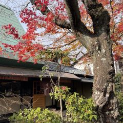 Nanzenji Junsei User Photo