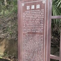 評論圖片 4