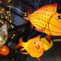 Da Men Gong User Photo