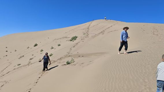 Tengger Desert Paradise