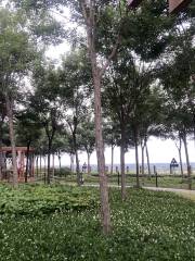 Jingwei Wetland Sightseeing Park, Gaoling