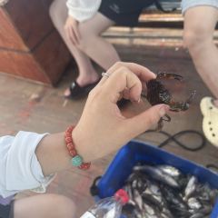 渔舟畅晚_出海捕鱼 User Photo