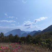 評論圖片 2
