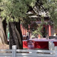 評論圖片 1