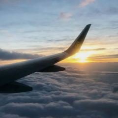 八合里牛肉火锅(金润店) User Photo