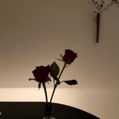 THE SYNC LOUNGE User Photo