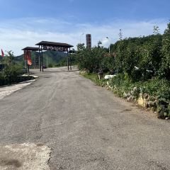 宝宏农家院 User Photo