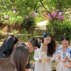 塘三菜·纯野露营咖 User Photo