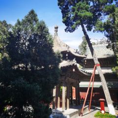 四川省平武报恩寺游客中心 User Photo