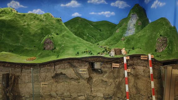 Xianglu Mountain Nature Museum