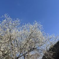 評論圖片 5
