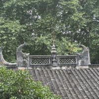 評論圖片 1