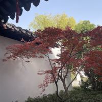 評論圖片 4