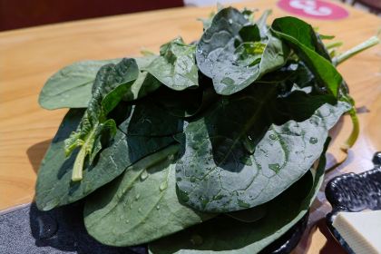 禄合門美蛙火锅(韩城店)