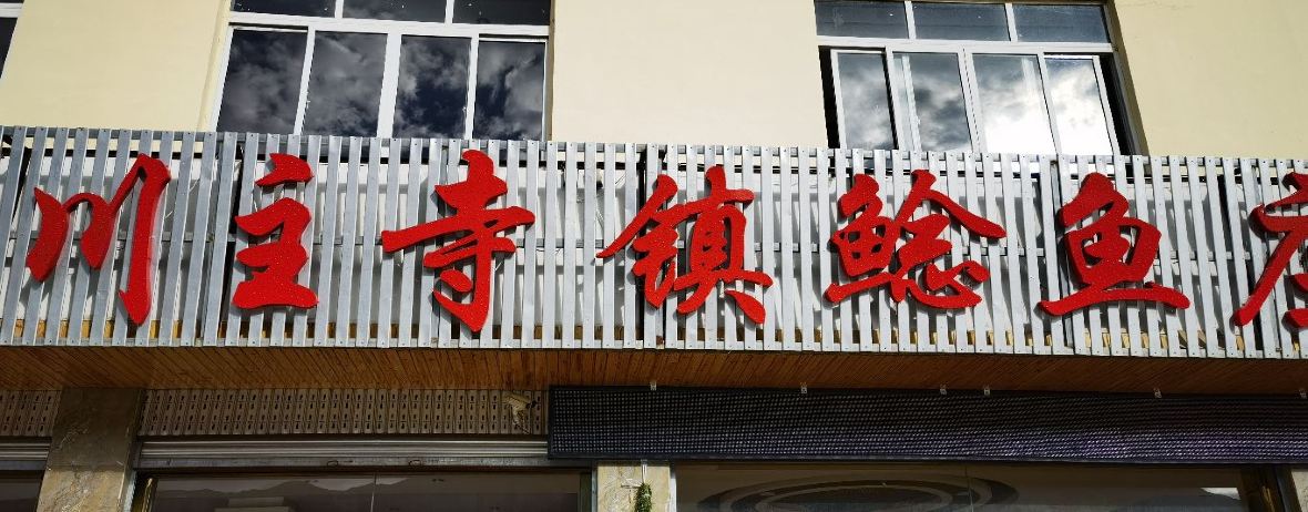 CHUAN ZHU SI NIAN YU ZHUANG ZONG DIAN