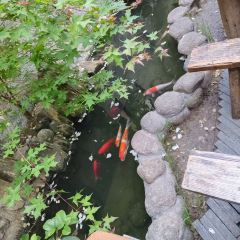 許老八包子鋪（回龍窩店）張用戶圖片