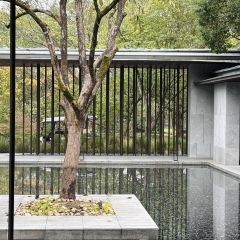 Xi Yin ảnh của người dùng