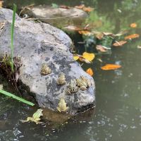 評論圖片 3