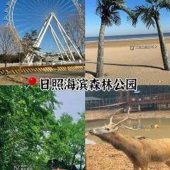 老太太海鮮城（森林公園任家台店）張用戶圖片