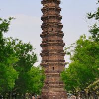 評論圖片 2