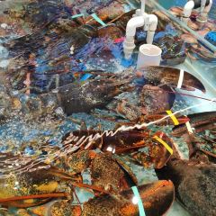 DaYang HaiXianCheng 여행 사진