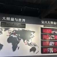 評論圖片 3