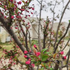 云台山溪山山居美学园·隐山肴·山农美学餐厅 User Photo