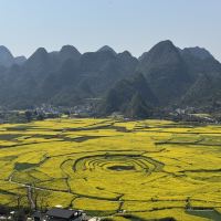 評論圖片 7