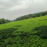 評論圖片 7