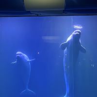 評論圖片 3