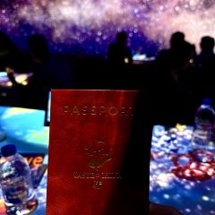 TASTE OF CHINA Immersive Dining User Photo