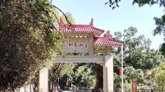 惠州红花湖景区是由一个城区若干小山围绕而成的水库，水域面积约