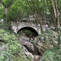 評論圖片 2