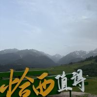 評論圖片 3