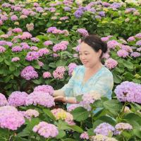 評論圖片 6