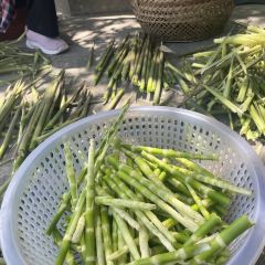茅山方记农家菜馆 User Photo