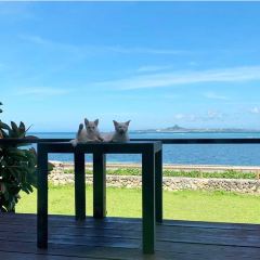 cafe CAHAYA BULAN User Photo