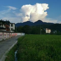 水乡竹园农家乐 User Photo