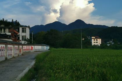 水乡竹园农家乐