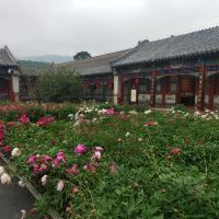 評論圖片 1
