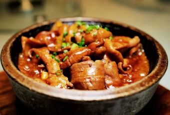 SHARK RESTAURANT User Photo