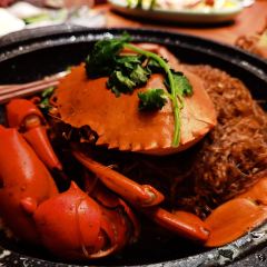 Mango Tree User Photo