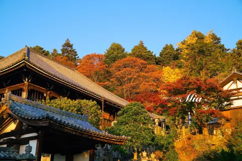 Nigatsu-do